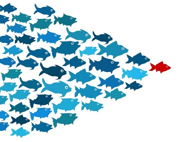 leadership