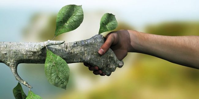 Sürdürülebilirlik-698×349